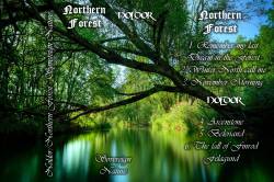 Northern Forest : Sovereign Nature